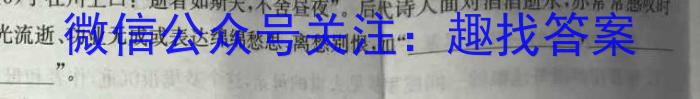 三重教育·2024-2025学年山西省高三12月大联考语文