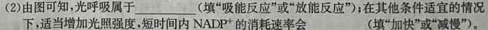 陕西省商洛市2023-2024学年度第一学期七年级期末考试B生物学部分