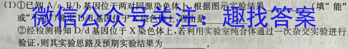 2024年普通高等学校招生全国统一考试·仿真模拟卷(五)5生物学试题答案