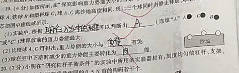 [今日更新]文博志鸿 2024年河北省初中毕业生升学文化课模拟考试(夺冠二).物理试卷答案