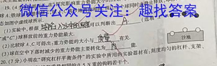 百师联盟 2024届高三开年摸底联考 (新教材75分钟)物理试卷答案