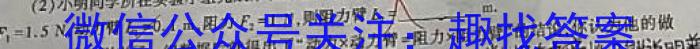 陕西省2023-2024学年高一7月联考(无标识)物理试题答案