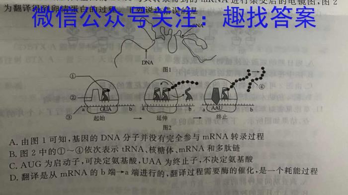 河南省2023-2024学年八年级第二学期学情分析二生物学试题答案