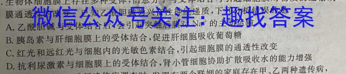 百师联盟2024届高三一轮复习联考(四)新教材生物学试题答案