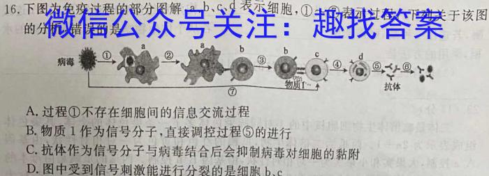 广西2024年春季期高三5月(2024.5.21)联考试卷生物学试题答案