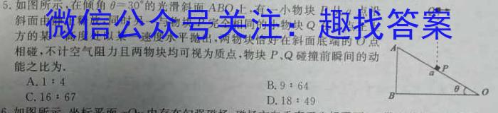 衡水金卷先享题2024答案调研卷(山东专版)三物理`