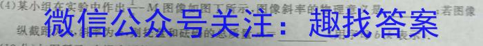 2024年湖北省新高考信息卷(一)物理试卷答案