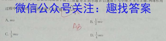 陕西师大附中2023-2024学年度初三年级第七次适应性训练物理试题答案