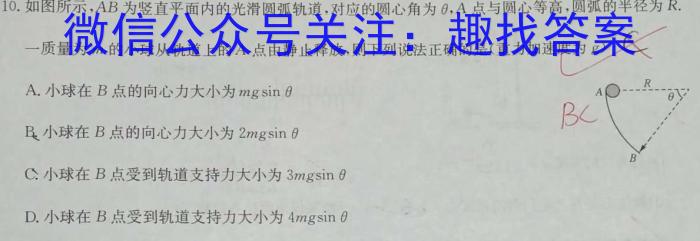2024年河南中招考试模拟冲刺卷(四)物理试题答案