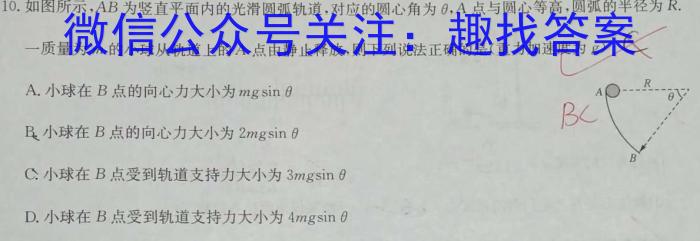 2024年河北省初中毕业生升学文化课考试(2)物理试卷答案