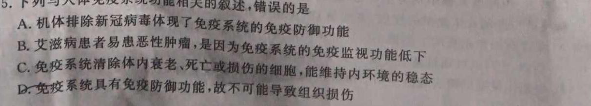 安徽省2025届九年级阶段评估(一)[△-AH]生物