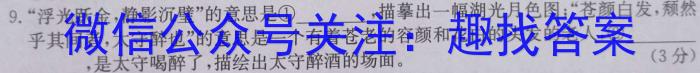 安徽省安师联盟2024年中考权威预测模拟试卷（六）语文