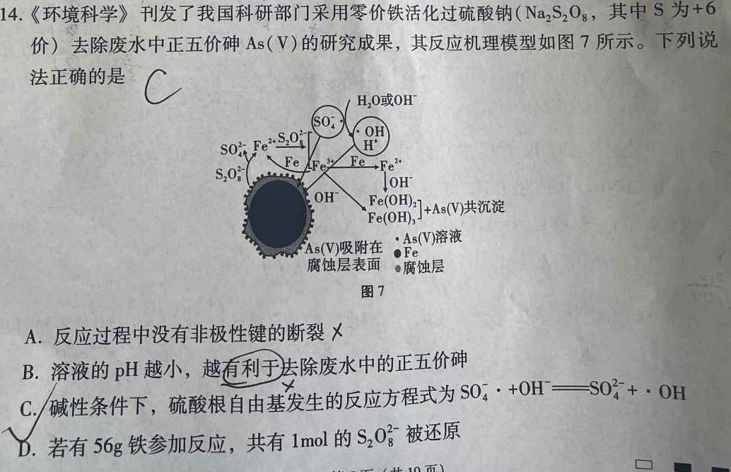 1安徽省淮北市2024届高三第一次质量检测化学试卷答案