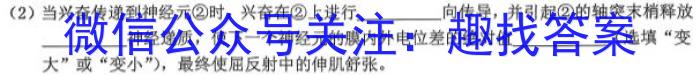 皖智教育 安徽第一卷·2024年安徽中考第一轮复习试卷(六)6生物学试题答案