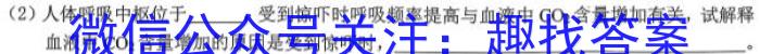 江西省宜昌市丰城中学2024-2025学年上学期初三入学考试生物学试题答案