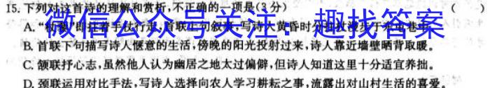 智慧上进·2024届名校学术联盟·高考模拟信息卷﹠押题卷（三）/语文