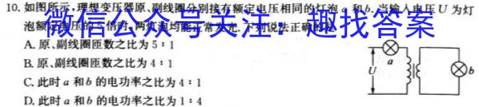 2024年普通高等学校招生全国统一考试 名校联盟·模拟信息卷(T8联盟)(四)4物理试卷答案