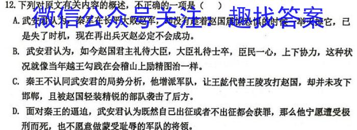 2024届湖北省宜荆荆五月高考适应性考试语文