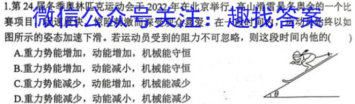 2024年陕西省初中学业水平考试全真模拟卷(二)物理