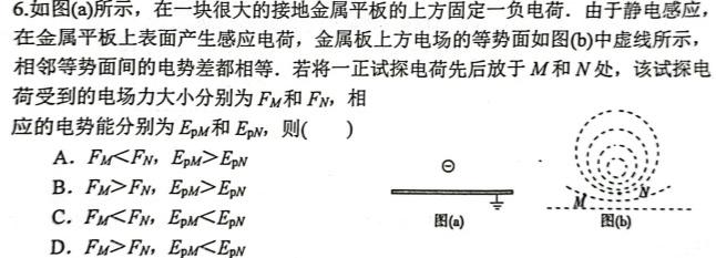 陕西省2023~2024学年度第二学期高一6月月考考试检测试卷(241919Z)(物理)试卷答案