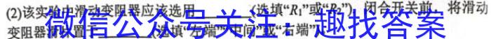 江西省2024年初中学业水平考试冲刺练习（三）物理`