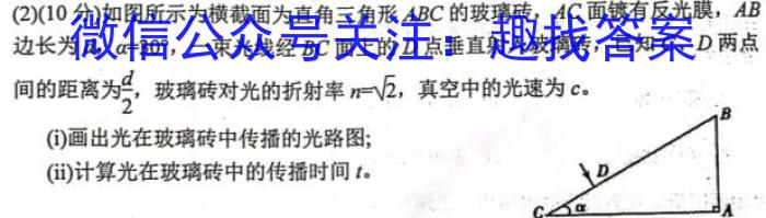 宣城市2023-2024学年度第一学期期末调研测试（高一年级）物理试题答案