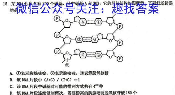 2024届普通高等学校招生全国统一模拟招生考试 金科·新未来5月联考(高三)(5月)生物学试题答案