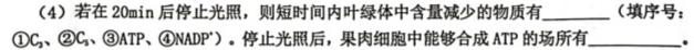 山西省2023-2024学年度八年级第一学期阶段性练习(二)生物学部分