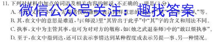 2024年普通高等学校全国统一模拟招生考试 金科·新未来12月联考/语文