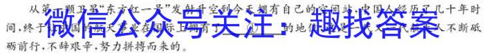 2024年河南省初中学业水平考试全真模拟试卷（三）语文