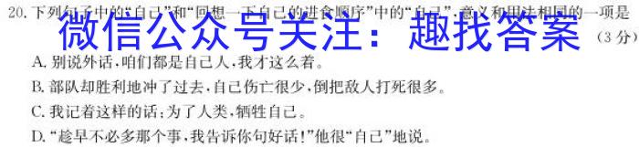 贵州省贵阳第一中学2024届高考适应性月考卷(五)(白黑白黑黑白白)语文