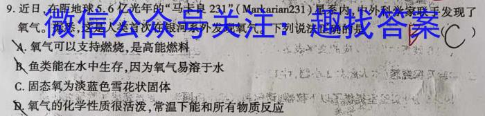 j2024届广东省高三12月联考(24-189C)化学试卷答案