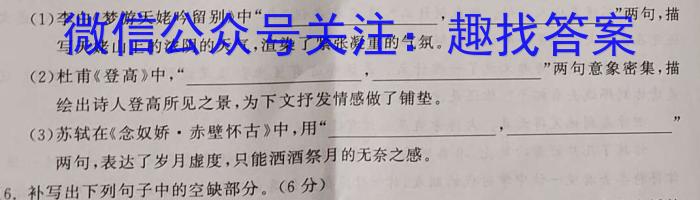 2023~2024学年安徽省县中联盟高三5月联考最后一卷(4419C)语文