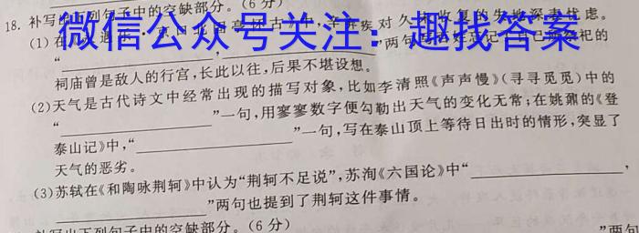 2023-2024学年高三试卷12月百万联考(灯泡)语文