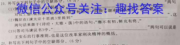 2023-2024学年度高二质量检测联合调考(24-423B)/语文