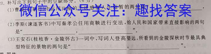 河南省洛阳市偃师区2023-2024学年七年级第一学期期末质量检测试卷/语文