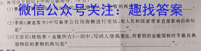 2023-2024学年安徽省普通高中高三春季阶段性检测（2月）语文