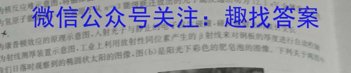 2024届山东省高三十二月联考(24-192C)物理试卷答案