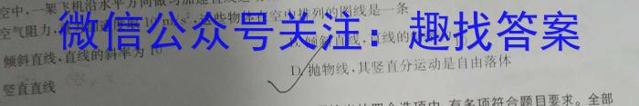 安徽省2024年秋学期九年级期末检测卷物理`