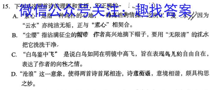 河南省周口市淮阳区2023-2024学年第二学期八年级期末学情调研试卷语文