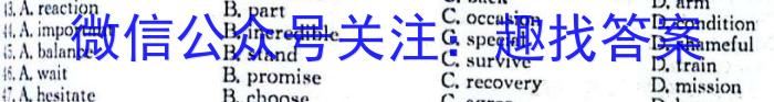 黄冈八模 2024届高三模拟测试卷(四)4英语试卷答案