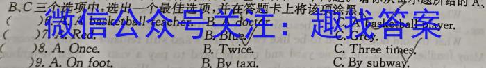 山西省2024年中考总复习专题训练 SHX(六)6英语