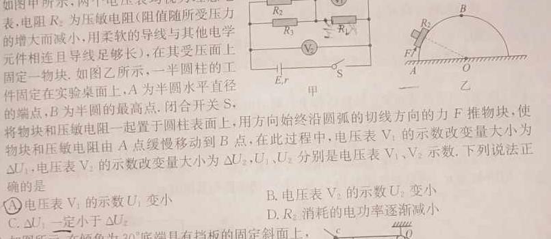 云南省高二年级楚雄州中小学2023-2024学年下学期期末教育学业质量监测(24-562B)(物理)试卷答案