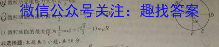 河南省洛阳市偃师区2023-2024学年八年级第一学期期末质量检测试卷物理试卷答案