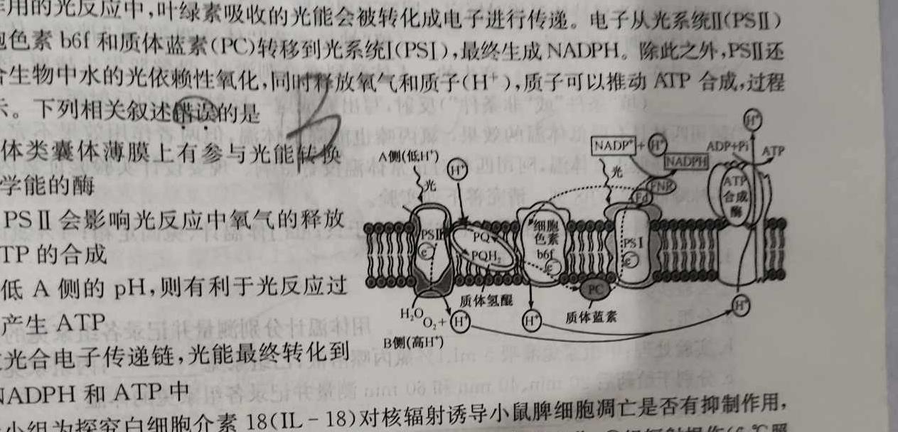 陕西省2023-2024学年度高一年级上学期1月联考生物学部分