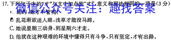 皖智教育 安徽第一卷·2024年安徽中考第一轮复习试卷(六)6语文