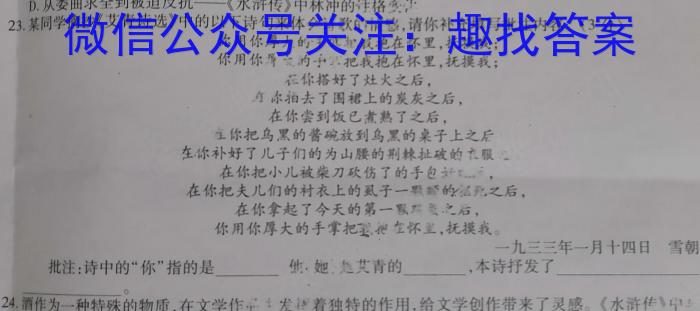 河北省张家口市桥西区2023-2024学年度第一学期九年级期末学情诊断测试/语文