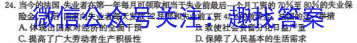 2024届中考导航总复习·模拟·冲刺·二轮模拟卷(三)&政治