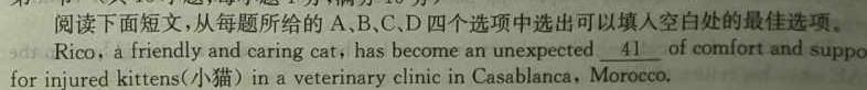 2023-2024学年玉溪市高二年级三校下学期六月联考英语试卷答案