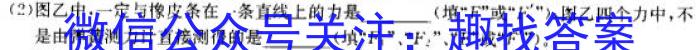 衡水金卷先享题2024答案调研卷(山东专版)物理试卷答案